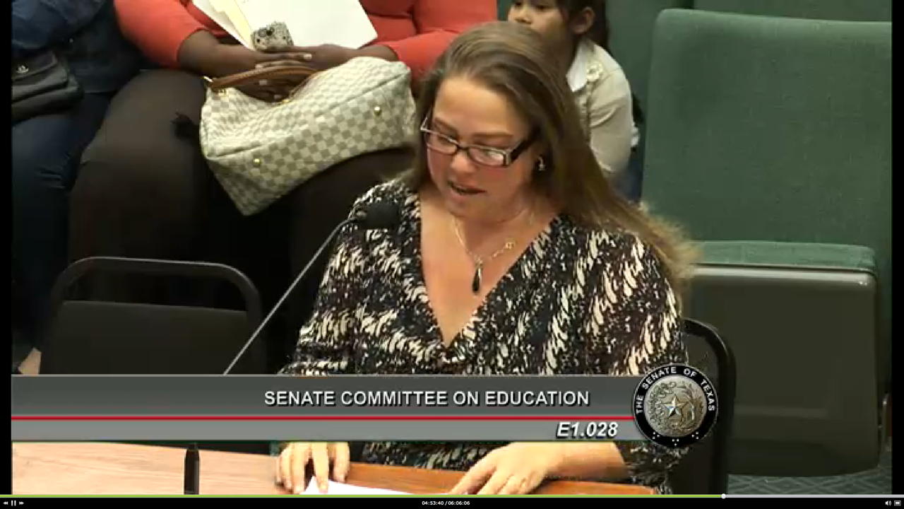 Lindsay Gustafson: Lindsay Gustafson of the Texas Classroom Teachers Association on November 17, 2014 at the Texas Senate Education Committee hearing.; Texas; government schools; public schools; government unions