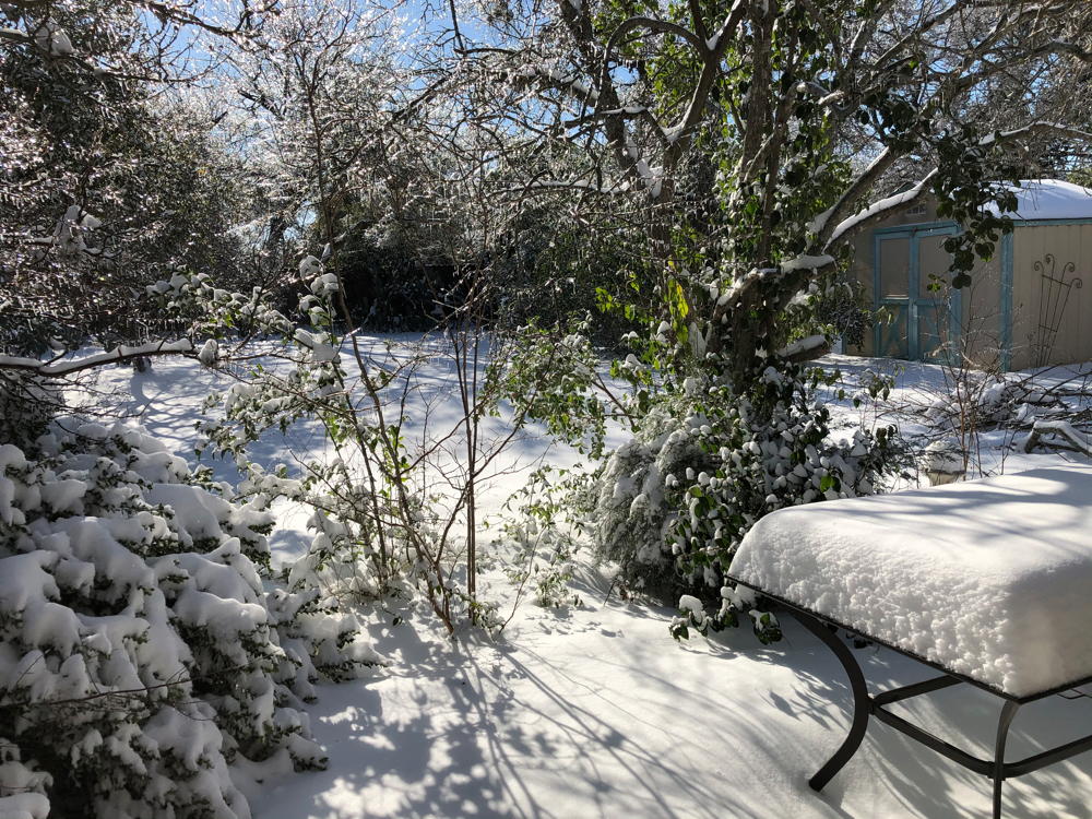 Backyard big freeze: My backyard on Monday morning, February 15, 2021.; Texas; Round Rock; snow
