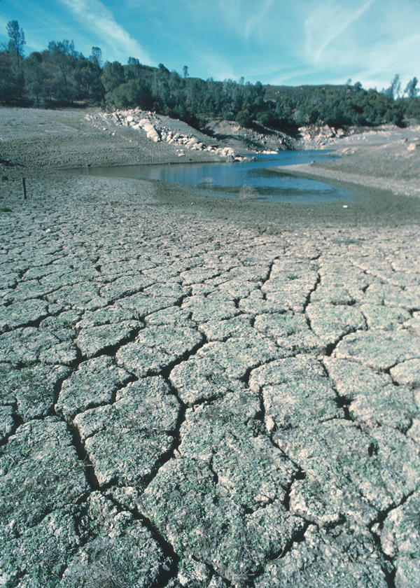 Cracked lakebed: “This lake near San Luis Obispo, California barely contains any water following a several year drought. October 4, 2011.”; California; water; drought