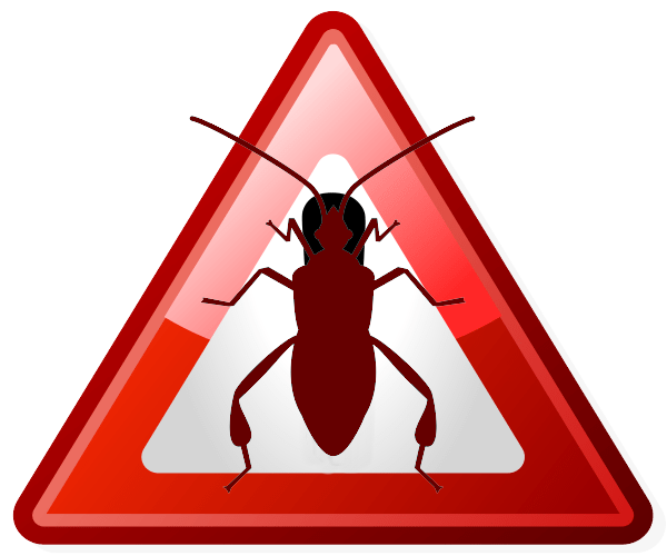 Bug Alert: Bug alert icon.; bug