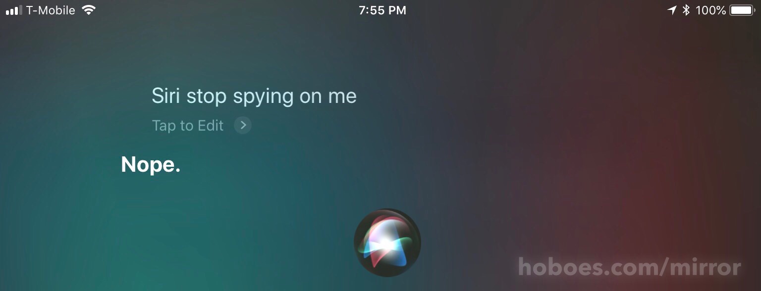 Stop spying: Siri, stop spying on me.

Nope.; Apple; Siri
