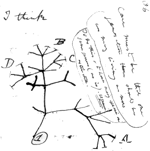 Darwin’s Tree of Life: Darwin’s Tree of Life on Secular Humanist Pantheon