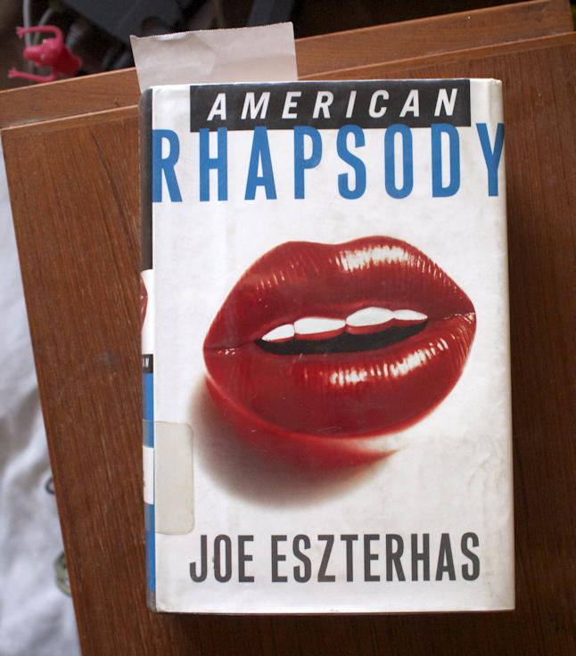 American Rhapsody: Cover of the hardback edition of American Rhapsody.; Hollywood