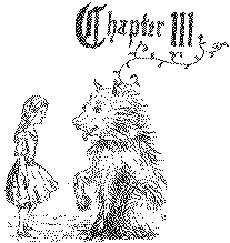 Chapter III: From Chapter III of Alice’s Adventures under Ground