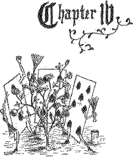 Chapter IV: From Chapter IV of Alice’s Adventures under Ground