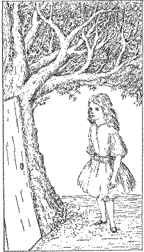 bythedoor: From Chapter III of Alice’s Adventures under Ground