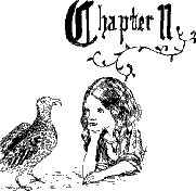 Chapter II: From Chapter II of Alice’s Adventures under Ground