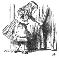 curtains: From  of Lewis Carroll’s Alice in Wonderland