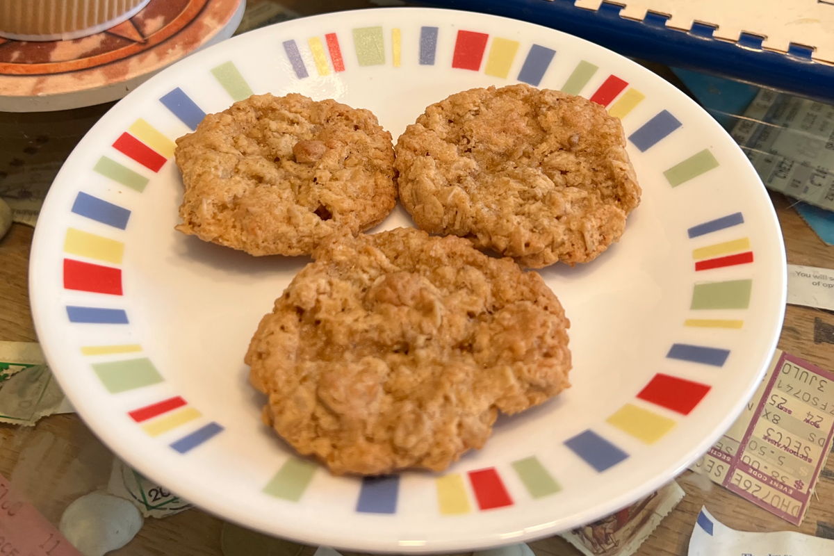 Fruitport coconut oatmeal cookies