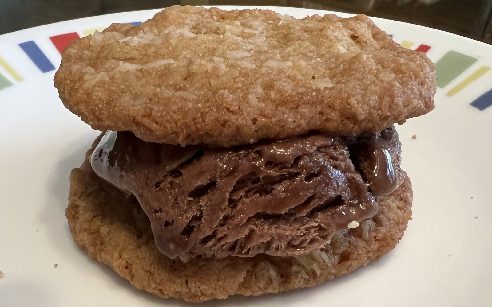 Chocolate ice cream sandwich: Chocolate ice cream sandwich, made with coconut oatmeal cookies and chocolate evaporated milk ice cream.; chocolate; cocoa; sandwiches; ice cream