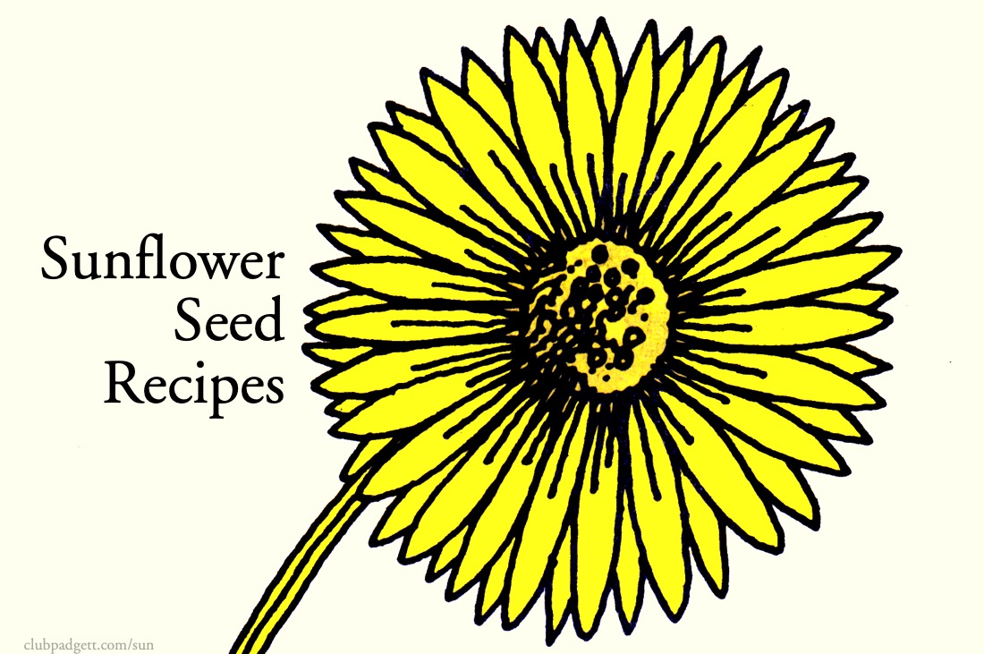 Sunflower seed recipes: Banner for Golden Harvest Sunflower Seed Recipes post.; sunflower seeds; sunflower seeds; food history; vintage cookbooks; cookbooks