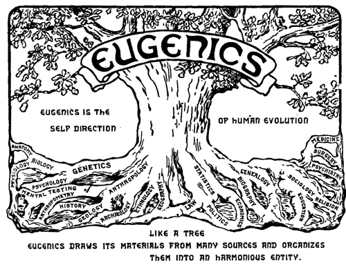 The Eugenics tree: Harry H. Laughlin, The Second International Exhibition of Eugenics held September 22 to October 22, 1921, in connection with the Second International Congress of Eugenics in the American Museum of Natural History, New York.; eugenics; scientific state