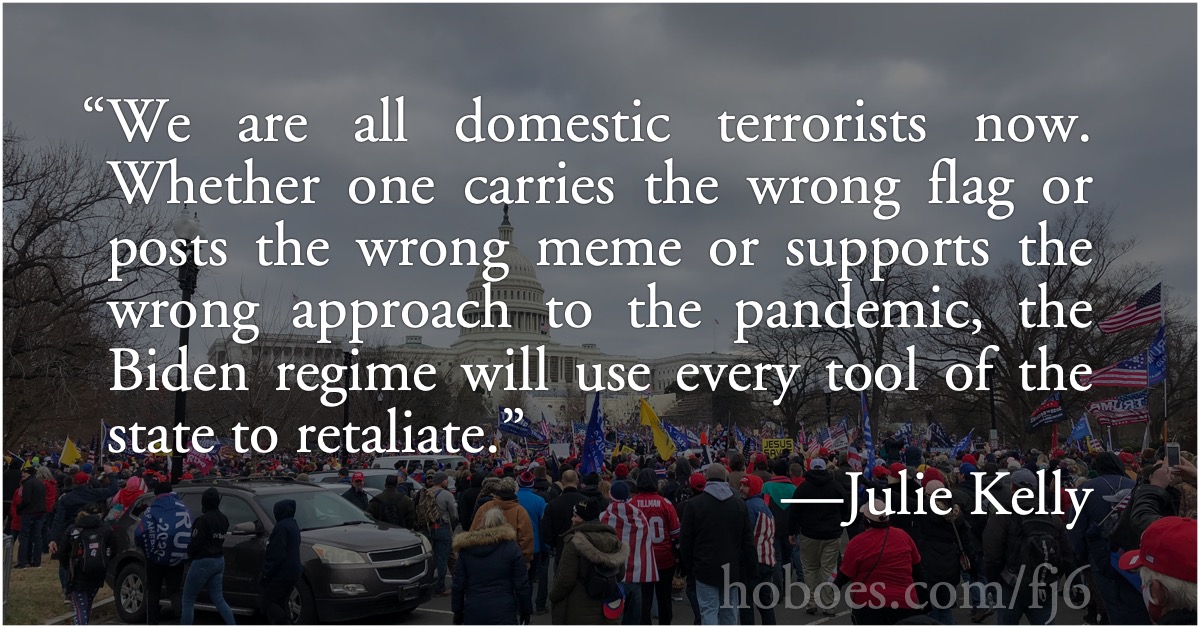 We are all domestic terrorists: Julie Kelly: We are all domestic terrorists now.; Biden administration; January 6; Julie Kelly