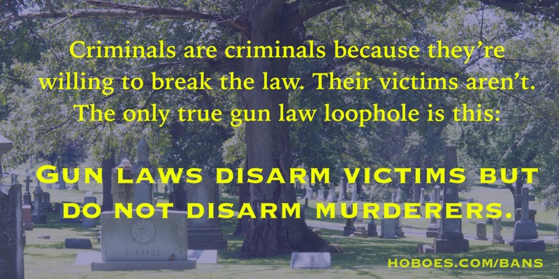 The true gun law loophole: The only true gun law loophole is that criminals break the law. Gun laws can only disarm their victims.; gun control