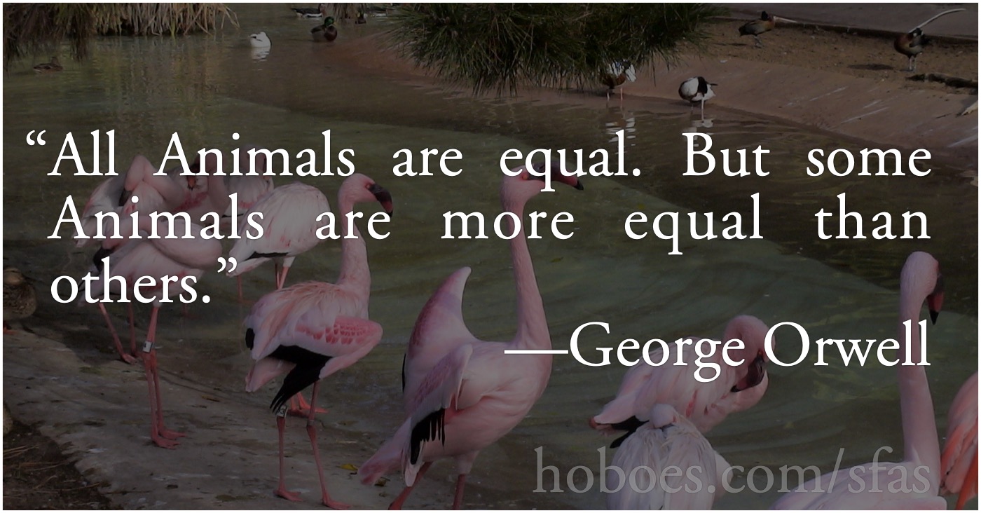 All flamingos are equal: George Orwell: “All Animals are equal. But some Animals are more equal than others.”; George Orwell; socialism; memes