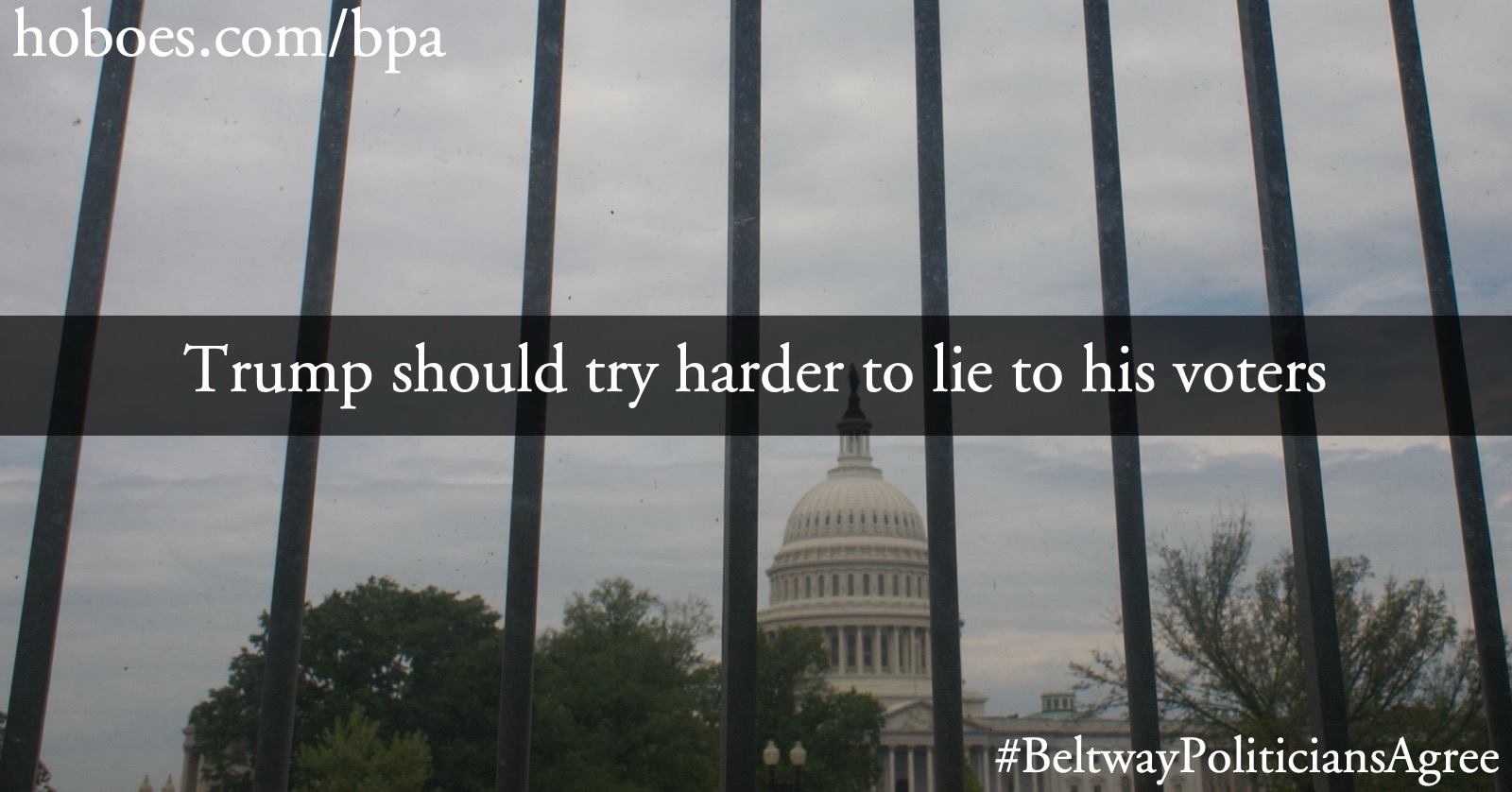 Trump should lie to voters sharer