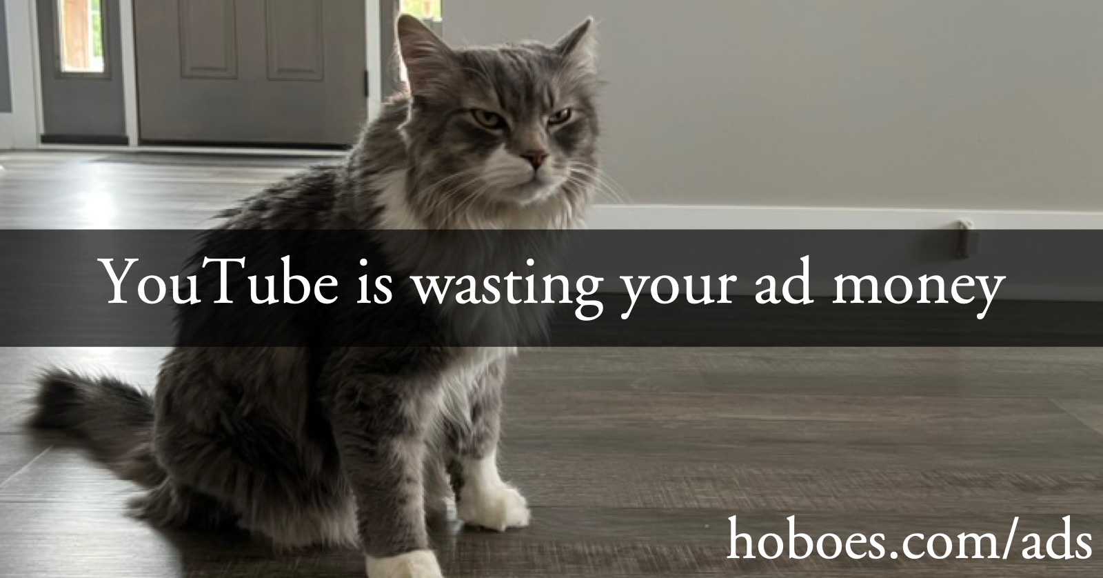 YouTube wasting ad money: YouTube is wasting your ad money, says angry cat.; advertising; YouTube; cats