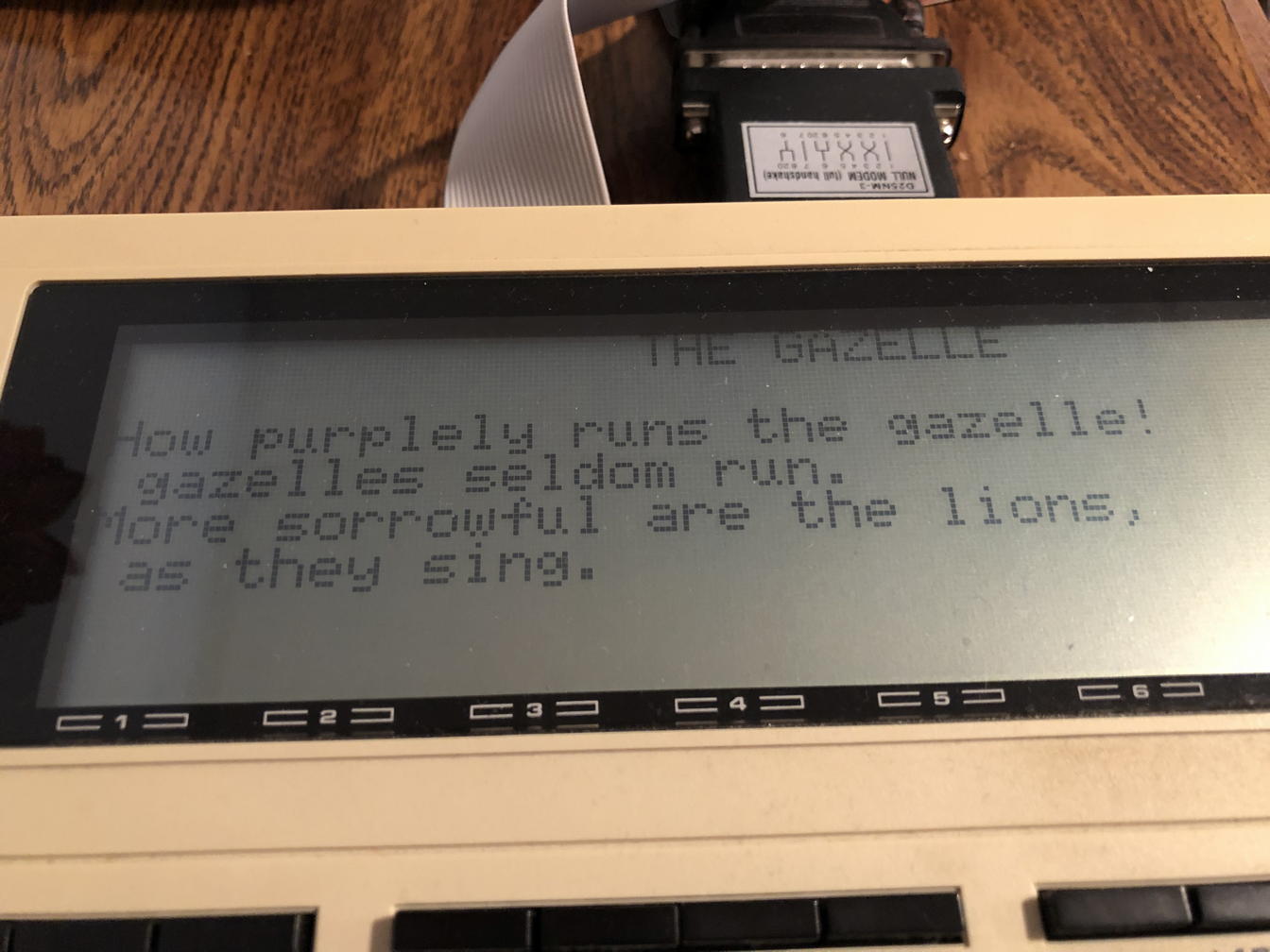 TRS-80 Model 100 gazelle poetry: The Model 100 generates random poetry about gazelles and sorrowful lions.; poetry; TRS-80 Model 100