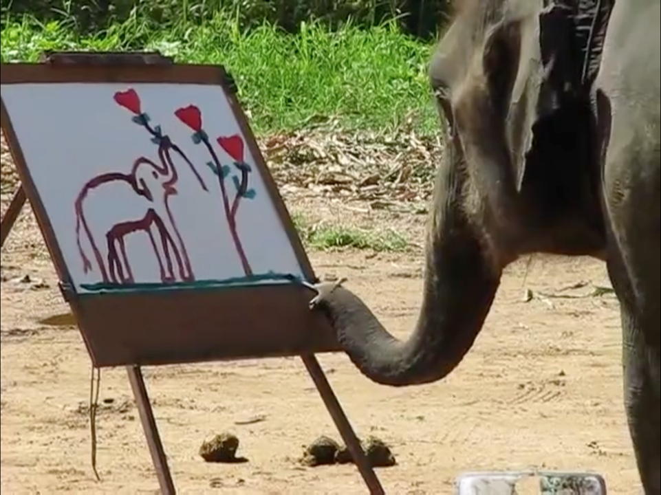 Suda’s Self Portrait: Suda the elephant draws an elephant!; elephants; paintings; Thailand