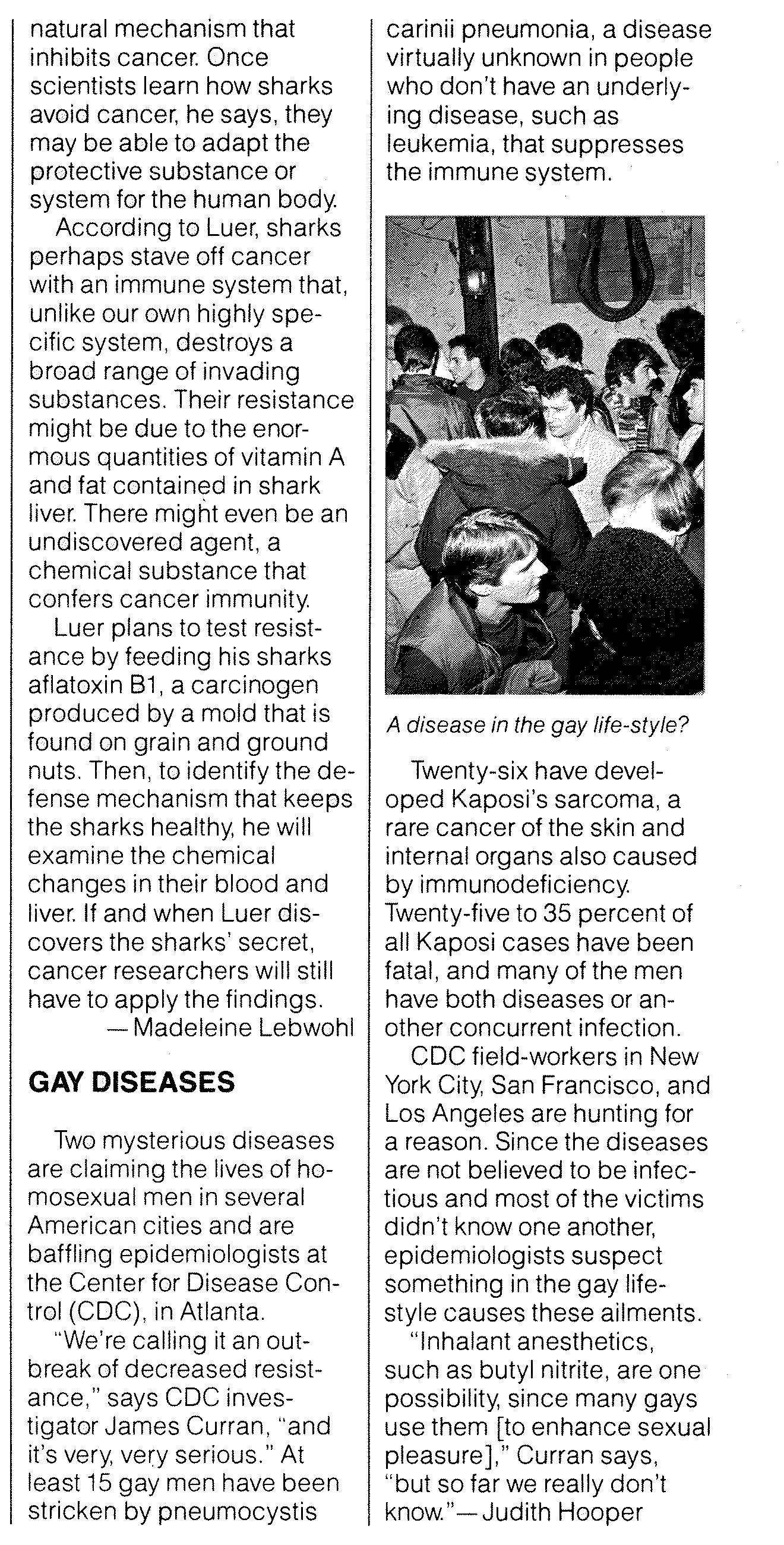 Gay Diseases: From Omni, November 1981.; political correctness; AIDS; OMNI Magazine